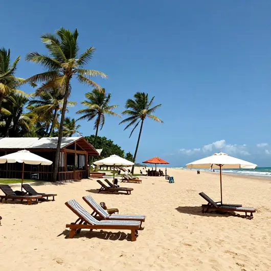 Descubra a Barraca Estilo Praia Descubra a Barraca Estilo Praia