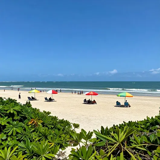Descubra a Praia Acessível