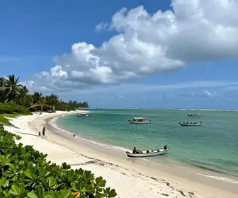 Descubra a Praia da Sabiaguaba em Fortaleza: Um Paraíso à Beira-Mar Descubra a Praia da Sabiaguaba em Fortaleza: Um Paraíso à Beira-Mar