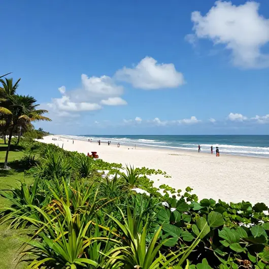 Descubra a Praia de Iracema Descubra a Praia de Iracema