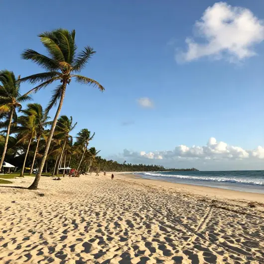 Descubra a Praia do Poço da Draga