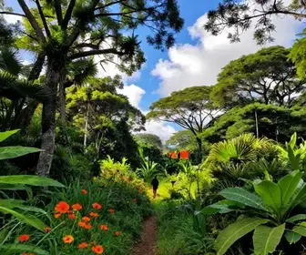 Descubra as Melhores Trilhas em Fortaleza para os Aventureiros