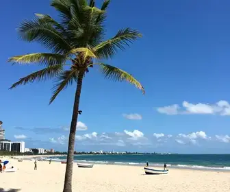 Descubra Fortaleza em Fevereiro: O Melhor Destino de Verão Descubra Fortaleza em Fevereiro: O Melhor Destino de Verão
