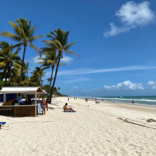 Descubra Fortaleza Temporada