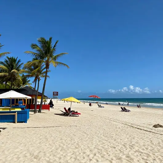 Descubra o Crocobeach