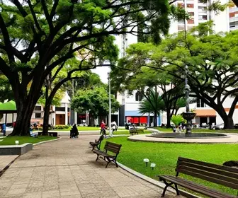Descubra o Passeio Público de Fortaleza: Um Oásis Urbano Descubra o Passeio Público de Fortaleza: Um Oásis Urbano