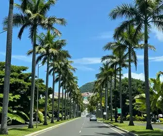 Dicas para Chegar a Fortaleza de Carro: Roteiros e Sugestões Dicas para Chegar a Fortaleza de Carro: Roteiros e Sugestões