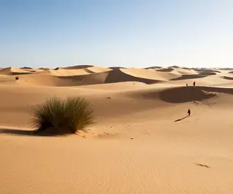Explore as Encantadoras Dunas da Sabiaguaba em Fortaleza
