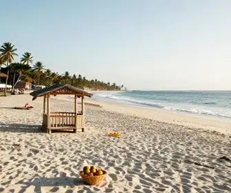 Explore Fortaleza em Apenas 1 Dia: Um Roteiro Imperdível