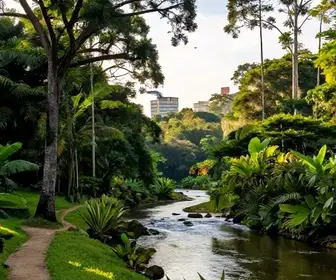 Explore o Parque Estadual do Cocó: A Natureza ao seu Redor em Fortaleza