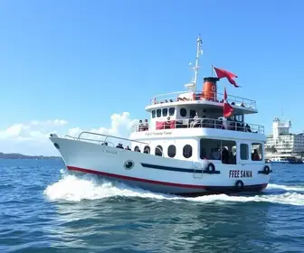 transporte gratuito
