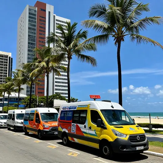Fortaleza Vans Fortaleza Vans