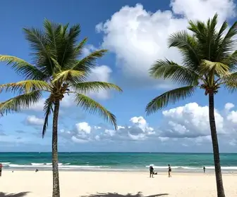 Praia Formosa em Fortaleza: Um Refúgio da Natureza