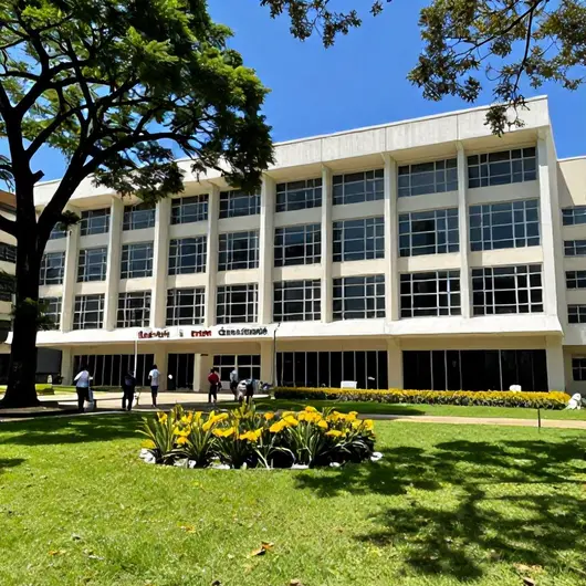 Vila das Artes